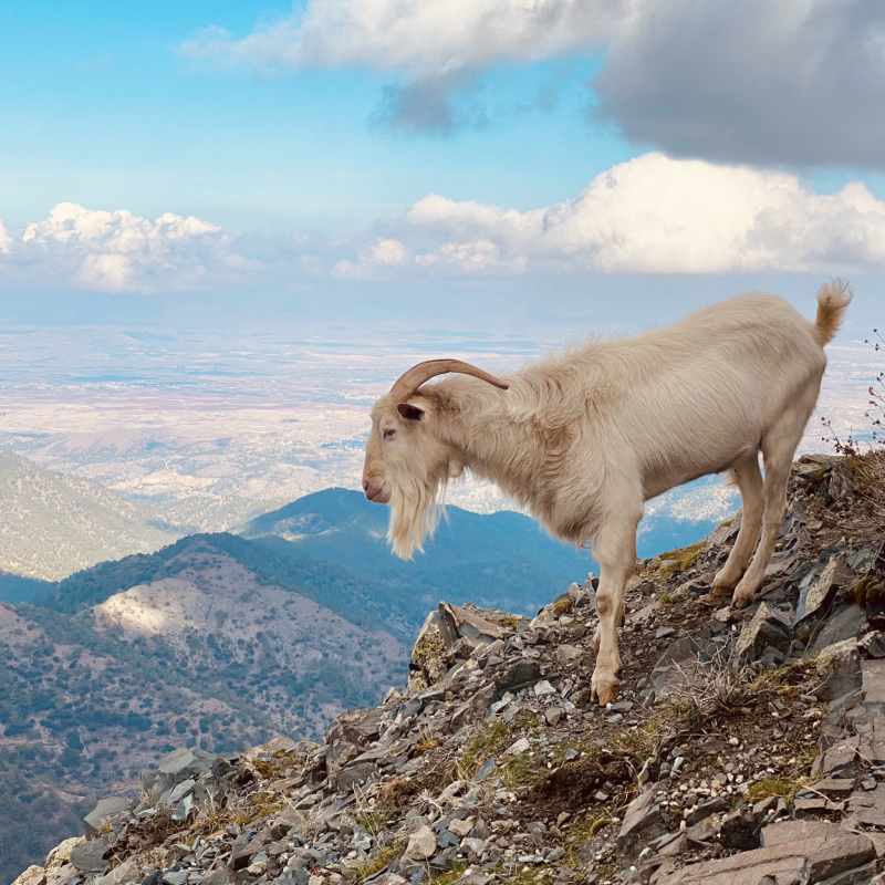 Best hikes in Cyprus - Madaris Trail Cyprus